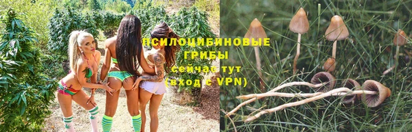 каннабис Алексеевка